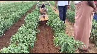 Gain - Bheem Excel Weeder self propelled intercrop