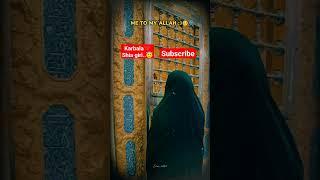 Karbala ️ shia girl #dream #karbala #viral #video