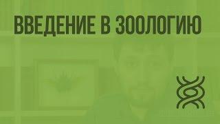 Введение в зоологию. Видеоурок по биологии 7 класс