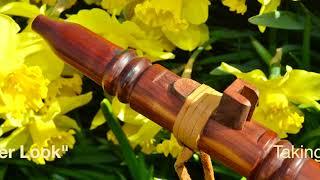 In Depth Review of a David Nighteagle Warbling NAS Flute. Check It Out!