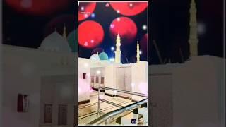 Ye Gulami Kabhi Kamtar Nahi Hone Dete l Sayed Hasan Ullah Hussaini ️️️