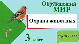 Охрана животных. Окружающий мир. 3 класс, 1 часть. Учебник А. Плешаков стр. 106-111