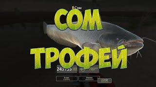 Русская Рыбалка 4: За СОМОМ #4/ФИНИШ/ Трофейный СОМ (74,8 кг)