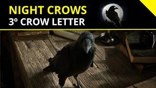 Night Crows: Crow Letter, Tokenomics and the NFT Game Future in 2024