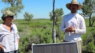 Bat Monitoring on American Prairie