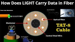 How Does LIGHT Carry DATA in Fiber Optic Cable? FULL EXPLAINED