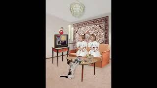 Анимационный ролик "Ретро настроение"