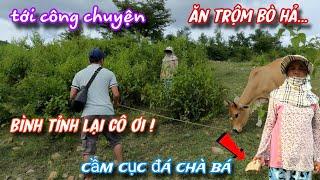 Cô dân tộc RAGLAI thấy người LẠ dắt BÒ tưởng trộm liền cầm CỤC ĐÁ CHÀ BÁ...chuyện gì sẽ xảy ra../396