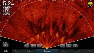 LiveScope  На дне две крупных рыбы.......стаи белой...