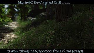 SkyrimSE Re-Engaged ENB--A Walk Along the Riverwood Trail (Vivid Preset)