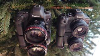 CANON EOS 5D MARK IV and CANON EOS R6 MARK II