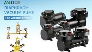 Maintenance and Inspection of Maisi Tc 100 Vacuum Pump Kit