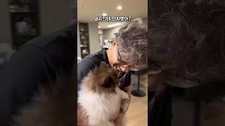 이해하기 어려운 영상 #shorts