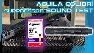 Aguila Colibri:  Suppressed Sounds at Distance with Ruger 10/22 and Mark IV