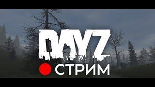 Стрим по DAYZ || В поисках ЛУЧШЕГО СЕРВЕРА