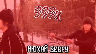 НЮХАЙ БЕБРУ (Скорость 999x)