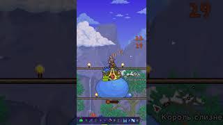 ВСЁ ПРО КОРОЛЯ СЛИЗНЕЙ! (TERRARIA)