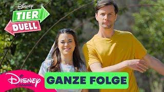 Ein Tier mit zu vollem Mund? - Ganze Folge | Tierduell