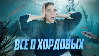 Хордовые для ЕГЭ по биологии | Умскул