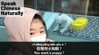 Learn Chinese Conversation: I Want a Puppy! 我想养小狗| Learn Real Chinese Conversation | 学中文