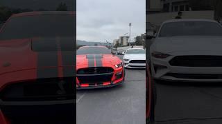 Shelby GT500 Rolling Though Car Meet ️