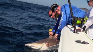 CATCHING A SHARK IN THE GULF OF MEXICO | BIG BIDNESS OUTDOORS