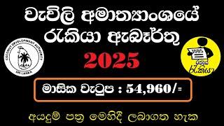 New Government Jobs in Sri Lanka 2024 | Coconut Development Authority (CDA) Jobs | Rajaye rakiya