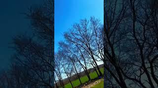 Freestyle FPV Crash!  #drone #fpv #fpvfreestyle