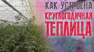 Промышленные и фермерские теплицы для круглогодичного использования. Что обязательно надо знать!