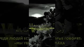 Билал Дарбали.Сура Аль-Бакара #surah #quran #shorts