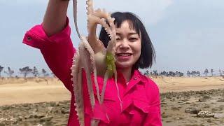 A large number of noodle fish were stranded on the beach, and several large octopuses were caught!