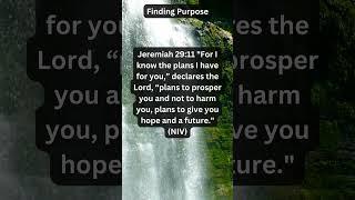 "Finding Purpose (God's Plan for Your Life): Jeremiah 29:11"