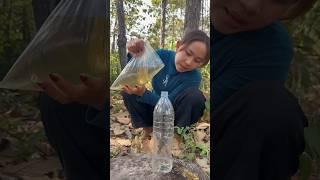Survival Skills: easy methood saving water transfer to bottle #camping #bushcraft #water