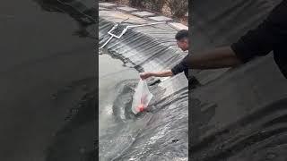 never meet this  #aquascape #fishcare #fishkeeping