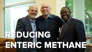 Feed Strategies to Reduce Enteric Methane