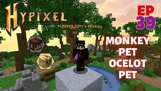 Momento FORAGING, combo Monkey pet y Ocelot pet - Hypixel Skyblock - EP39