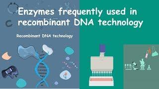 Enzymes used in Recombinant DNA Technology