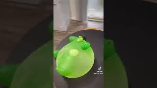 Look at this dooood