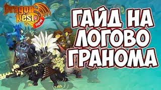 New Dragon Nest • Гайд на Логово Гранома