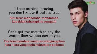 Shawn Mendes - Imagination - Lirik dan Terjemahan