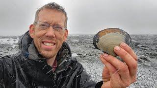 Camping, Fishing & Clamming in a Snow Storm - Coastal Foraging in Alaska