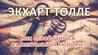 Как освободиться из ментальной тюрьмы? - ЭКХАРТ ТОЛЛЕ [Nikosho]