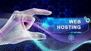 What Is Web Hosting // Web Hosting Explained for Beginners