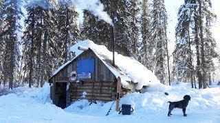 Четыре дня в тайге. Лесная изба. Рыбалка. Таёжный быт