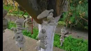 Villa Rodopi. The Garden of Inspiration