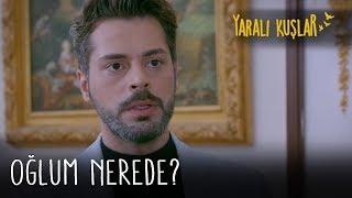 Oğlum nerede? | Yaralı Kuşlar 165. Bölüm