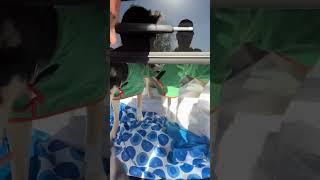 Best dog hair hack! My huskies go for a ride in the Bronco! #shorts #huskies #exploreaz