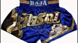 Muay Thai Shorts by Twins Special, Top King, King Professional, Raja Boxing $15.00 -- $34.99