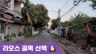 해외파견 일상 VLOG 라오스 골목 산책