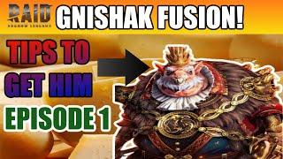 DO THIS TO GET THE Gnishak Fusion! Episode 1| Raid: Shadow Legends